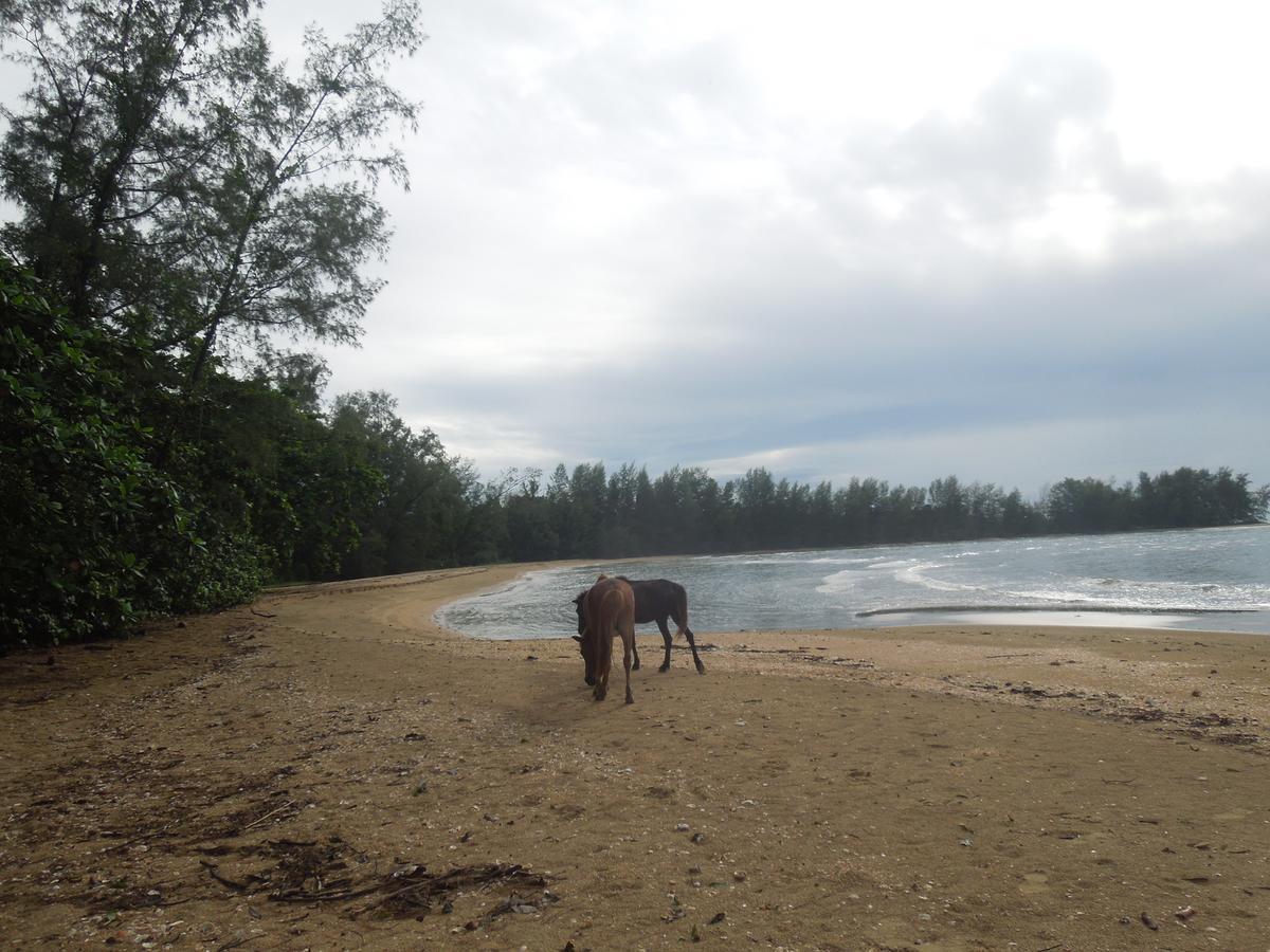 Koh Thmei Resort Phumi Kang Keng 외부 사진